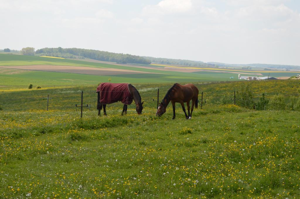 Gites De La Costerie Borsu Zewnętrze zdjęcie